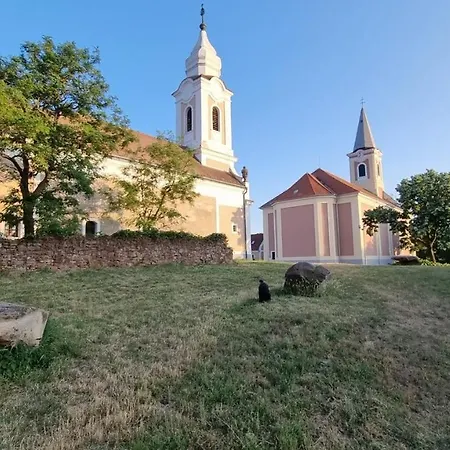 Pensjonat Templomdomb Kovagoors